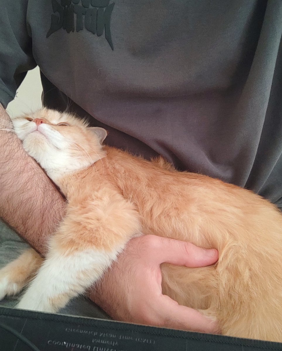 sohaibjoma's tweet photo. Sleepy on Friday afternoon. https://t.co/ZxTdsPnf53