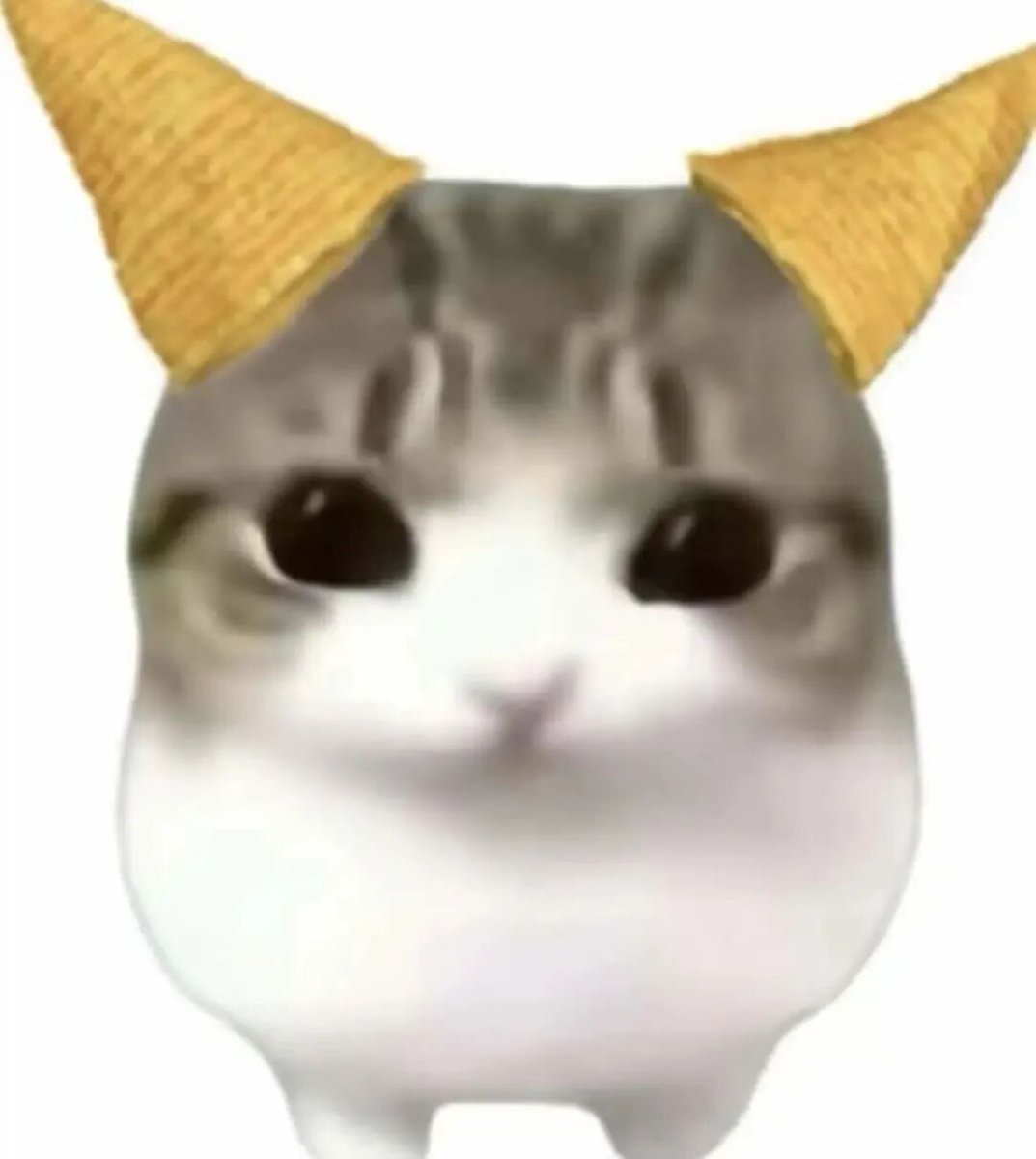 DoritoEarCatBnB's tweet photo. 妙脆角猫已经占领互联网了！🐱🔥

Dorito Ear Cat is taking over the internet! 🐱🔥 https://t.co/0LofU8hJeC