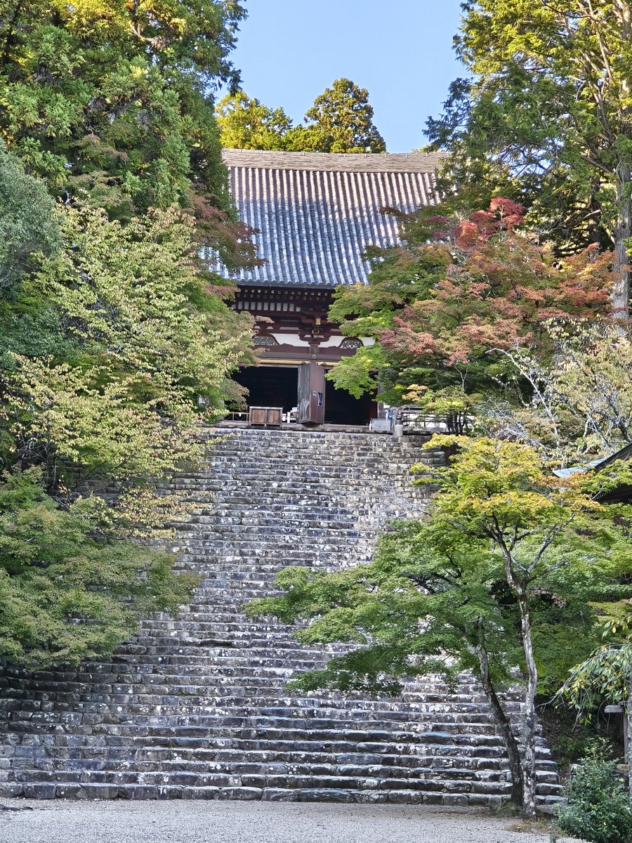 yukirorojunjun2's tweet photo. 大阪での研修の前日が休みだったので神護寺に行ってきた✨️
日帰りだと他の予定を捨てられなくてなかなか行けないでいたので本当に久しぶり。閉門間近でほぼ貸し切りの境内でミラージュに思いを馳せることができました https://t.co/KAgeIcvP2f