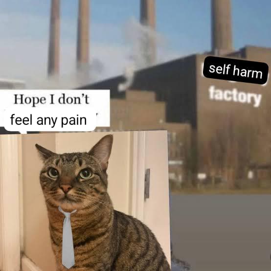 AwkwardSpud's tweet photo. // self harm

* mindlessly cat scratching and then surprising myself when it stings https://t.co/0pJnvwmjR4