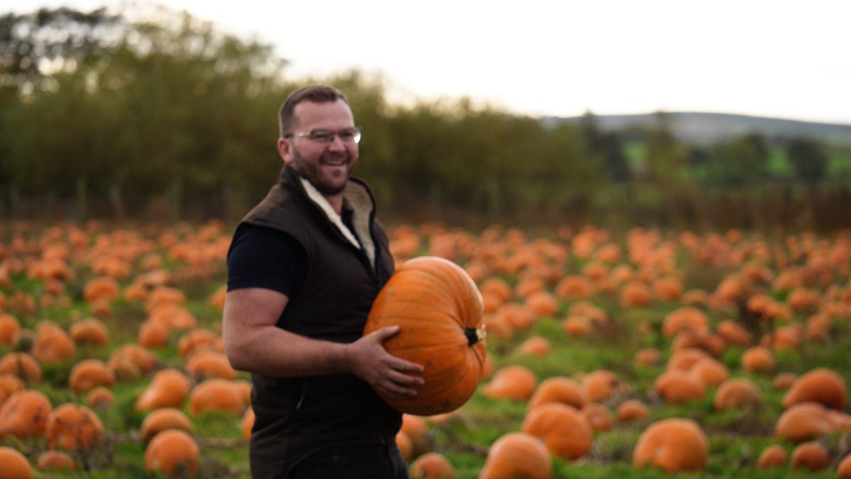 FASScot's tweet photo. It is October, which means it's pumpkin season! 🎃 

Check out our FAS TV episode from last year, where Rory and Steph Gregor from Aberdeenshire share their story on diversifying their farm business into sheep scanning, flower picking and pumpkin patches!
https://t.co/ocYjfEumfP https://t.co/RmXrtHRQaA