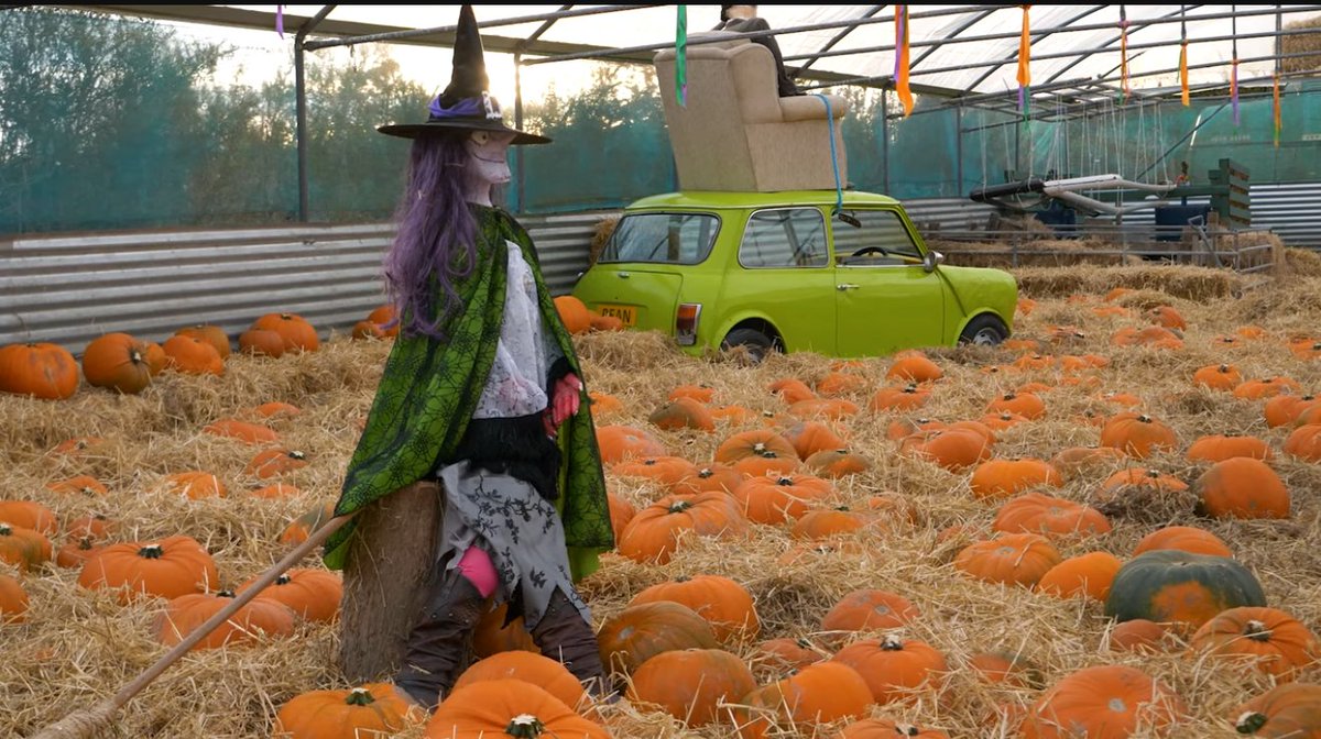 FASScot's tweet photo. It is October, which means it's pumpkin season! 🎃 

Check out our FAS TV episode from last year, where Rory and Steph Gregor from Aberdeenshire share their story on diversifying their farm business into sheep scanning, flower picking and pumpkin patches!
https://t.co/ocYjfEumfP https://t.co/RmXrtHRQaA