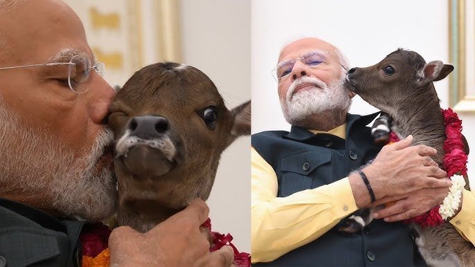 SantuCongress12's tweet photo. #OGoddessofSpeech...
#Maunibaba...ko #Speechtherapy dedho.... Aur bolo ki...
#Gaumaatacts laane to bolo...
Bina soche samje...
Kaam karte....unki #Buddhi teek karlo...
#Maadurga ki....khud ki #MaaHeerabaa ko bhi yaad karna bathao...
Lekin Rhona dhona nahi !!??...
#Agar #NikkamaPM hai tho...
Khud ko Dhimak teek nahi hai tho...
Janatha thayyaru hai...aur #Opposition...
#KissingkarteGaumaata ko...dikhava batches hai...
Dhimak teek karlo #Maadurga...
@PMOIndia @HMOIndia @AICCMedia @INCIndia @BJP4India @PTI_News @RSSorg