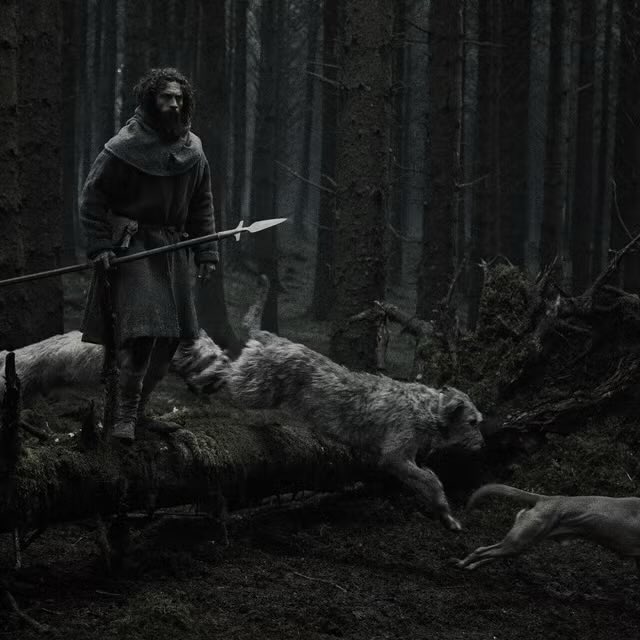kenzie__xcx's tweet photo. the way costume design (minus one of the potentials) is shaping up to be my favorite category https://t.co/pg9xwy9xCL