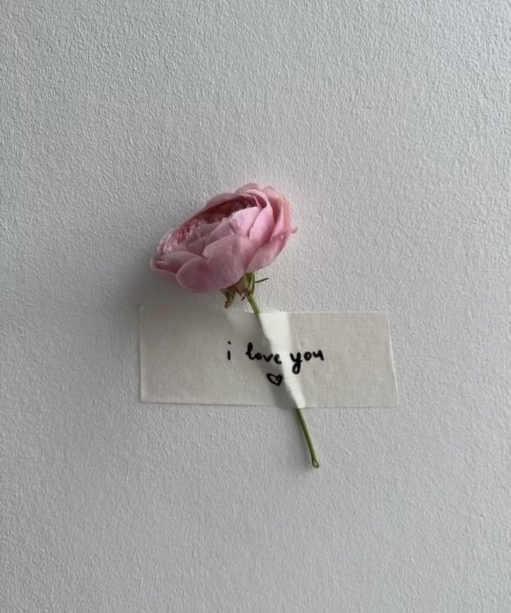 cagmellia's tweet photo. based on camellia. https://t.co/duNlez5B2u