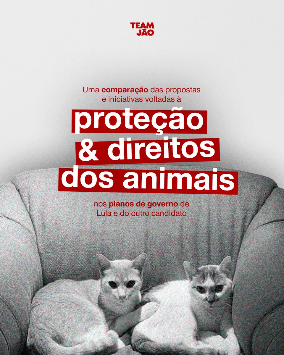 teamjao's tweet photo. ELES NÃO VOTAM, MAS VOCÊ PODE VOTAR POR ELES 🐾

O Jão sempre levantou a bandeira da causa animal, por aqui não seria diferente.

Comparamos as propostas de governo de ambos os candidatos para entender o que cada plano apresenta para a causa animal.

DIA 25, VOTE 13 POR ELES ❤️‍🔥⭐️ https://t.co/bqJ7ciThX3