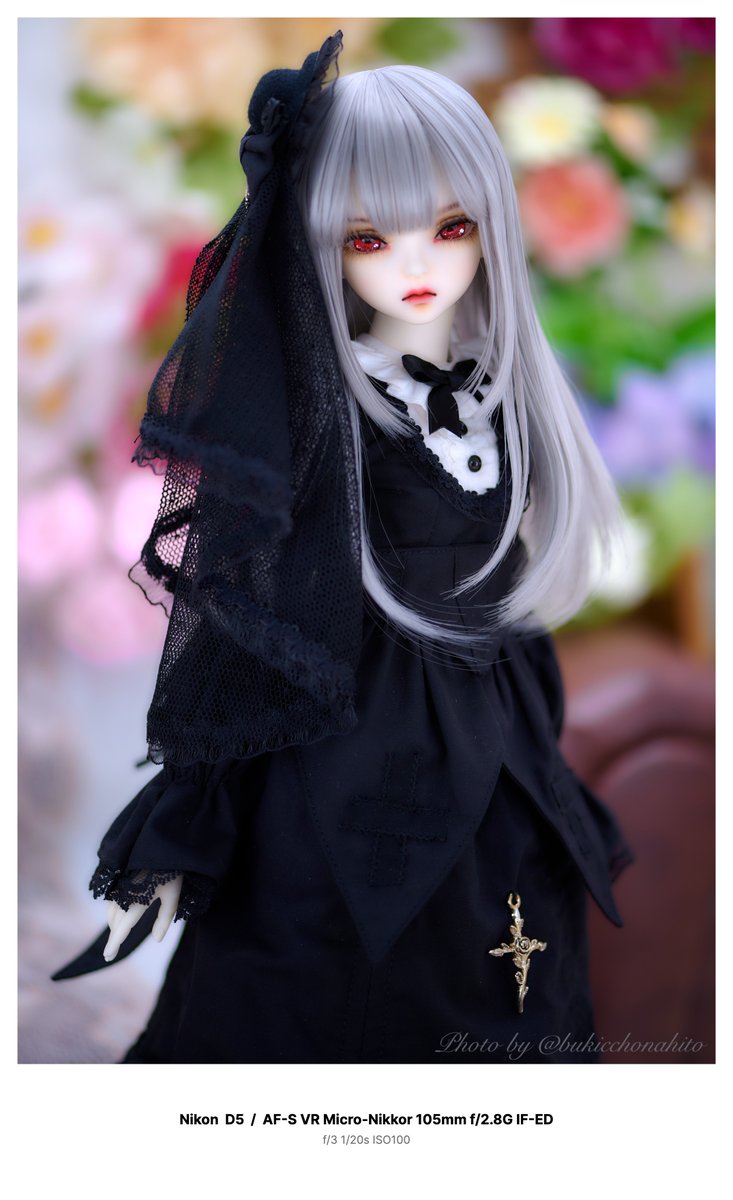 bukicchonahito's tweet photo. #DOLK #水銀燈 #うちのこかわいい https://t.co/pgfZ0rCeqY