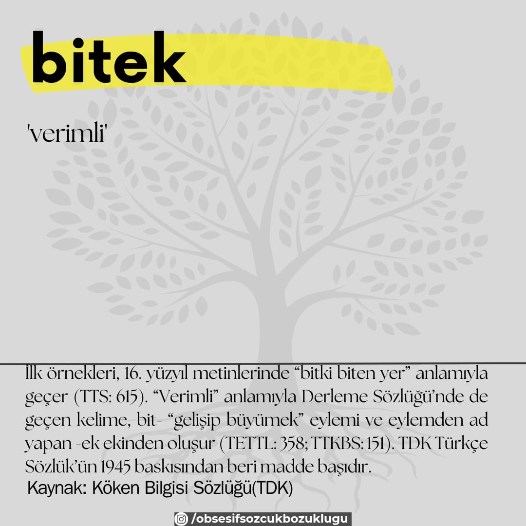 ObsesifSozcuk's tweet photo. #bitek #kelime #tdk #etimoloji #karacaoğlan
ali dağı erciyes’in eteği / yiğitler yatağı, sümbül biteği ((Karacaoğlan, 17. yy.). https://t.co/2acFnQm05x