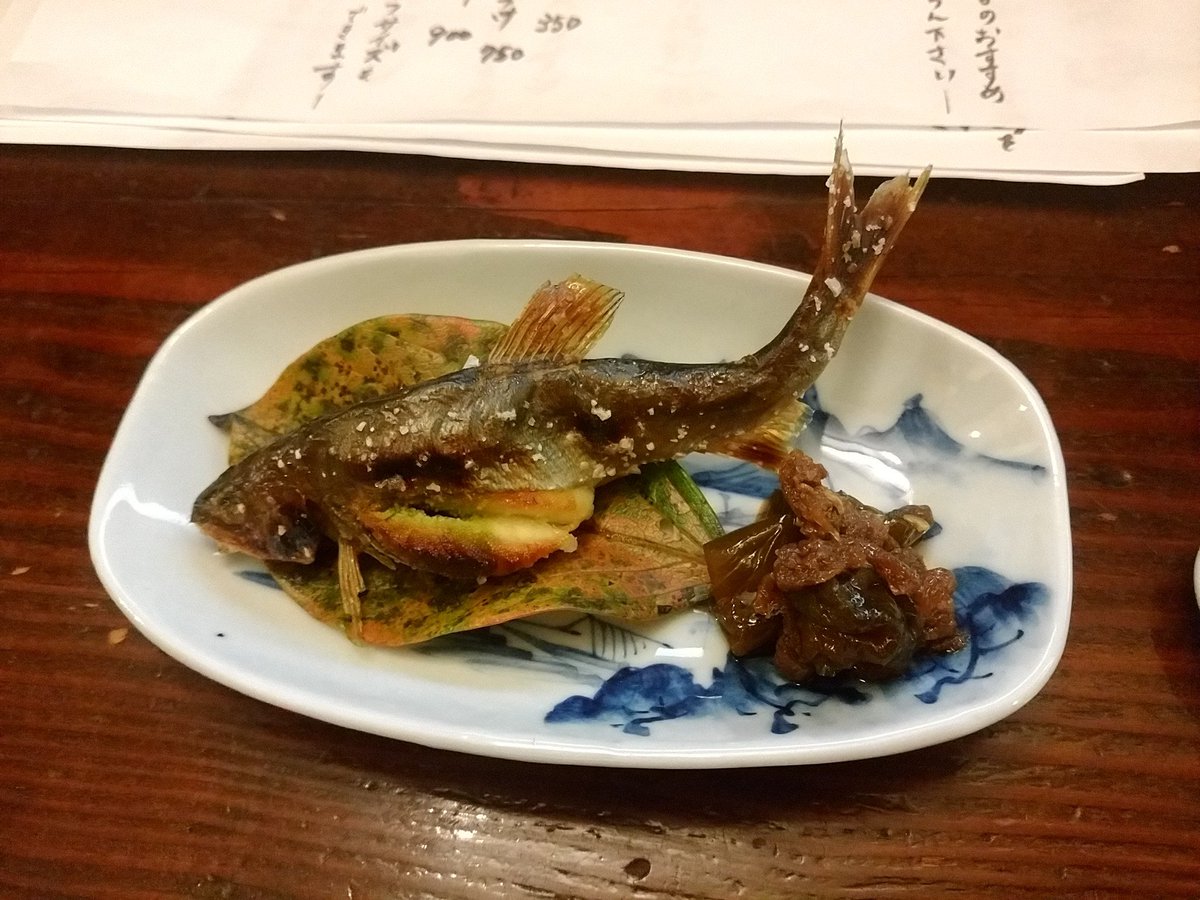 asyuu's tweet photo. 夜は予約していた浜大津の四時（しいじ）さんへ。志しのある料理屋さんで、ご主人･奥様から店の名前の由来などをお聞きした
北大路魯山人の「春夏秋冬　料理王国」に傾倒して、春夏秋冬＝しいじと命令したとのこと
妻とともに得心
素敵なお料理ばかり https://t.co/7bT11NxDk4