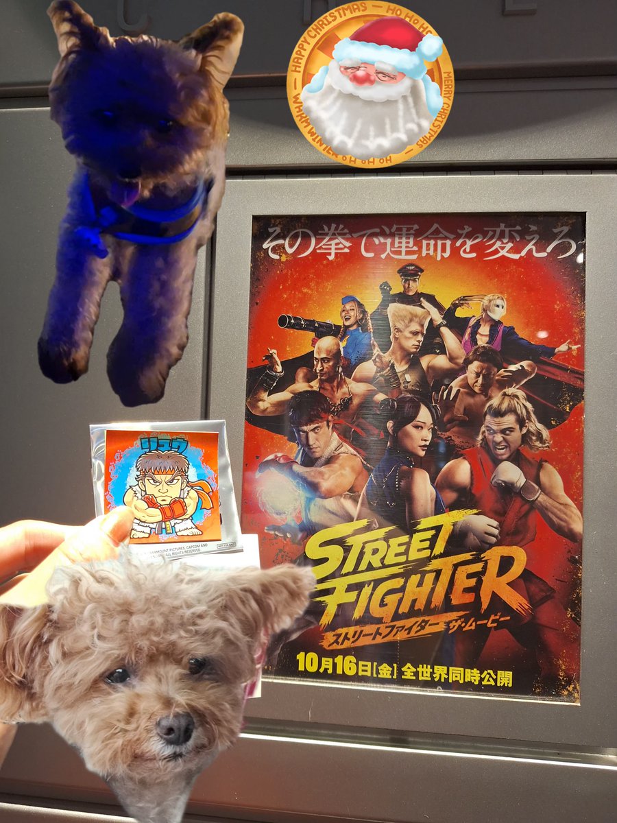 2015kuromaru's tweet photo. ストリートファイター観たよ🎅🎅かーーーーーっこよかった！！！！！リュウ好きになった🥰ダルシムの顔良すぎ！キャミィの顎のライン美し！全体的に曲も良いし超面白かった！！♪Who Let the Dogs Out～～🤜🤛 https://t.co/y7rkKeSeL7