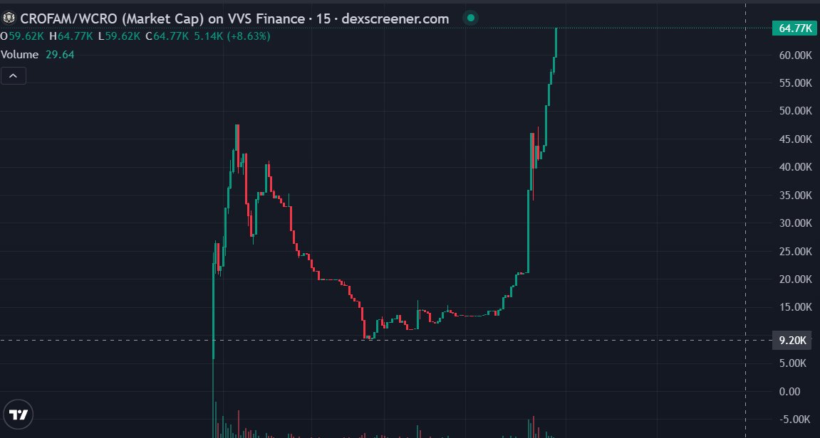 TheCronosFamily's tweet photo. 🚀 This could be the story you tell your grandchildren one day.

Down to $9.5K after launch to make its way and maybe reaching the @cryptocom App one day. 💎

The lows, the doubts, the comeback.

Imagine being able to say: “I was there before it all happened.” 👀

$CROFAM 🦁 https://t.co/53lBpVeuR0