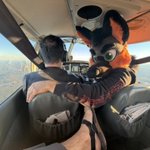 Photo by Buster 🔜 2026: FCL, FurPoc, Prowl, BARK! (@PupBuster2)