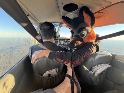 Image from Buster π 2026: FCL, FurPoc, Prowl, BARK! (@PupBuster2)