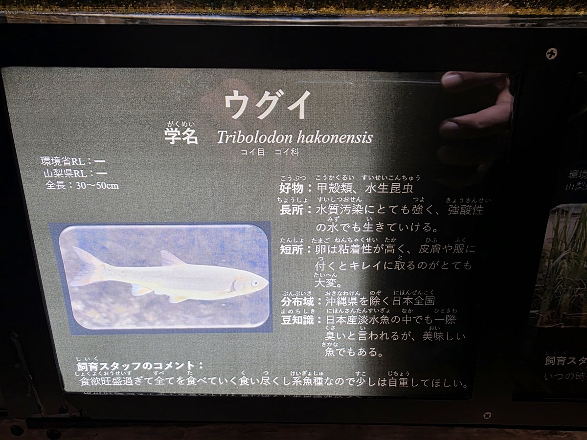 Neo_shir0's tweet photo. 実は今日誕生日でお祝いに水族館に連れて行ってもらったんだけど飼育スタッフのコメントがいちいち面白かった https://t.co/ceX3EamWVM