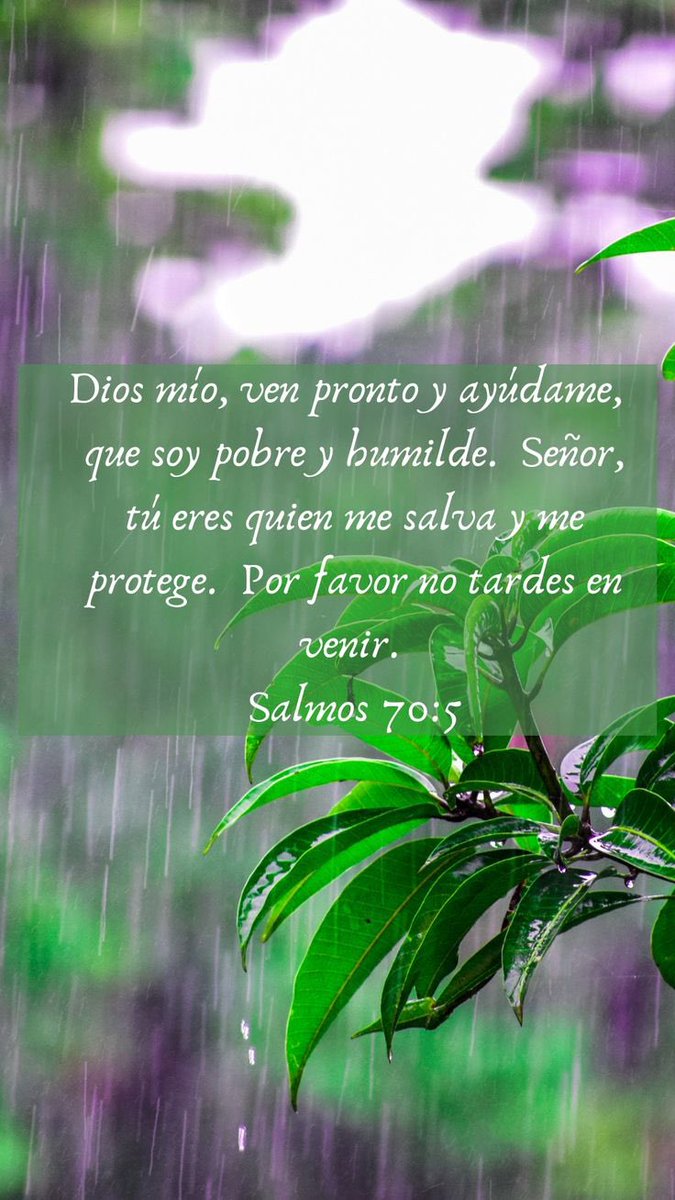 GuzmanSDaniel's tweet photo. ¿Estás pasando por un momento difícil? Recuerda que puedes clamar a Dios con sinceridad. No tienes que fingir fortaleza: busca al Señor, pide ayuda y sigue confiando. Él es tu socorro. Confía Dios no te olvida. #rpsp #Salmo70 #Fe https://t.co/NqPIAbPvfl