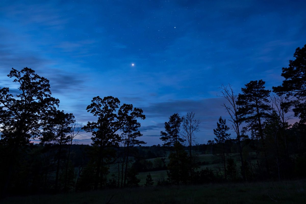 Solivineh's tweet photo. Good Evening from Earth 🌙✨
That first bright dot you see? It's not a star, it's Venus — the Evening Star.
Why so bright? Venus has an albedo of 0.75, it reflects 75% of sunlight. That's why it appears before any star.
Look up tonight, science is above you.
#GoodEvening #NightSky #Astronomy #Venus #ScienceFacts