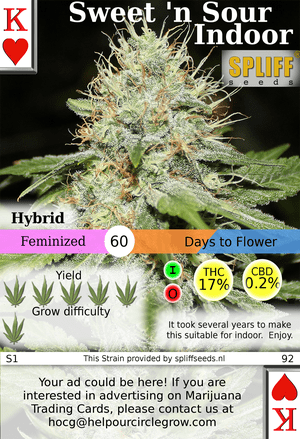 TradingCards420's tweet photo. OG Deck #2 https://t.co/RBA202sKEu