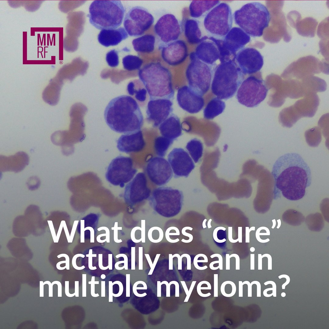 MM_Hub's tweet photo. This year, the myeloma community defined what a cure looks like for the first time. The latest issue of @themmrf Accelerator looks at the research driving that progress: https://t.co/q8WAcaQTcI https://t.co/JbFWVZ674o