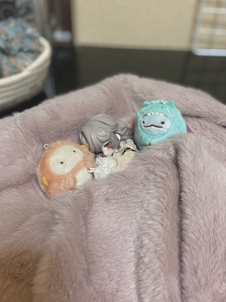 3nochano3's tweet photo. ゆっくりおやすみ…🤫💤

#うちのこかわいい 
#ブラインドドール
#ルナロア https://t.co/8ZyOgPnsXn