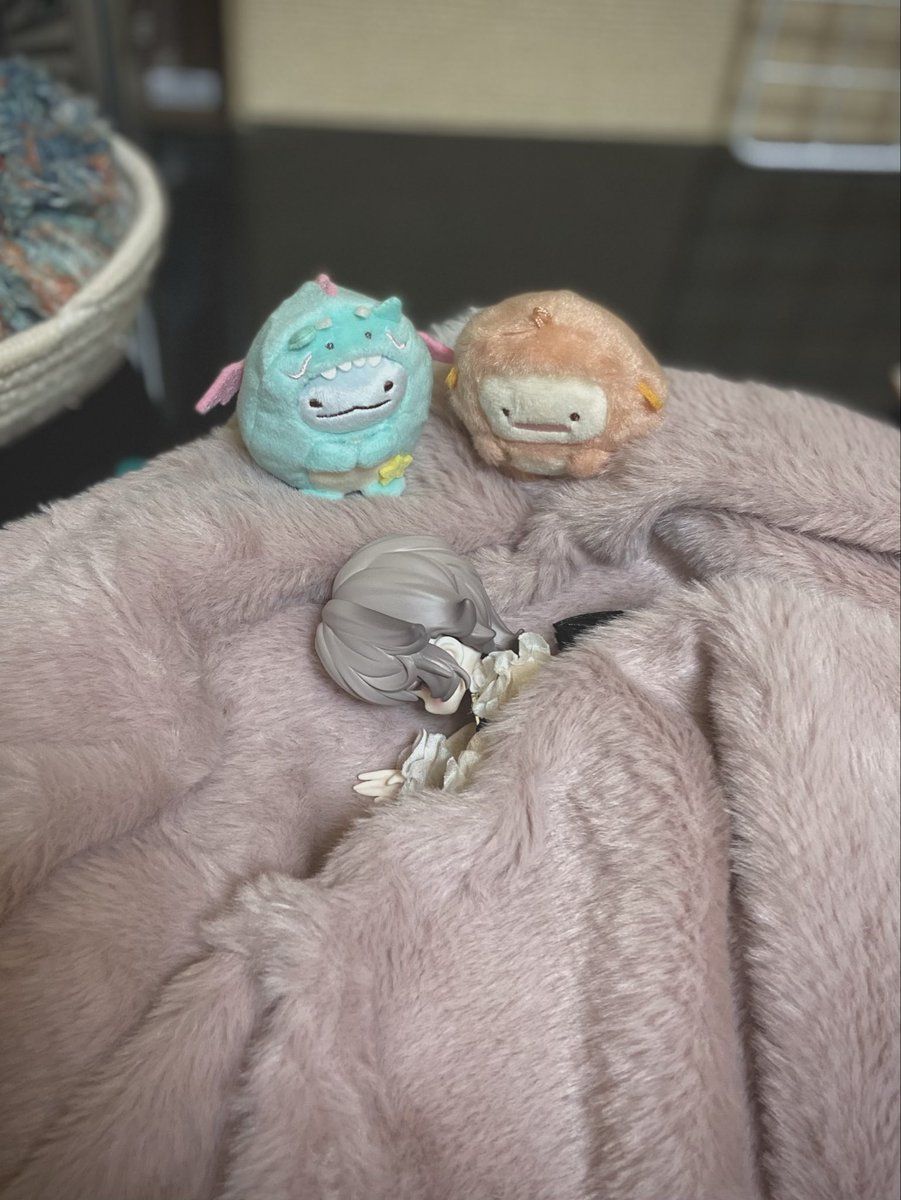 3nochano3's tweet photo. ゆっくりおやすみ…🤫💤

#うちのこかわいい 
#ブラインドドール
#ルナロア https://t.co/8ZyOgPnsXn
