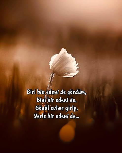 Guldesign55's tweet photo. Biri bin edeni de gördüm
Bini bir edeni de...
Gönül evime girip,
Yerle bir edeni de... https://t.co/93a37x67Wc