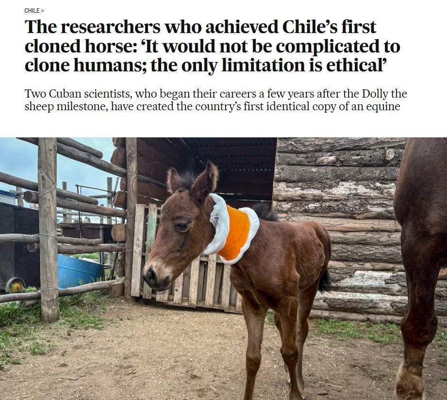 phenixsdev's tweet photo. THEY JUST CLONED A PONY IN CHILE

2 Chilean researchers just achieved the FIRST successful equine cloning of a polo pony named "Capacidad"

Named after his predecessor, his name is "Capacidad 1"

GIGA potential

https://t.co/MzeeUIVExD https://t.co/zBshtVzD5z