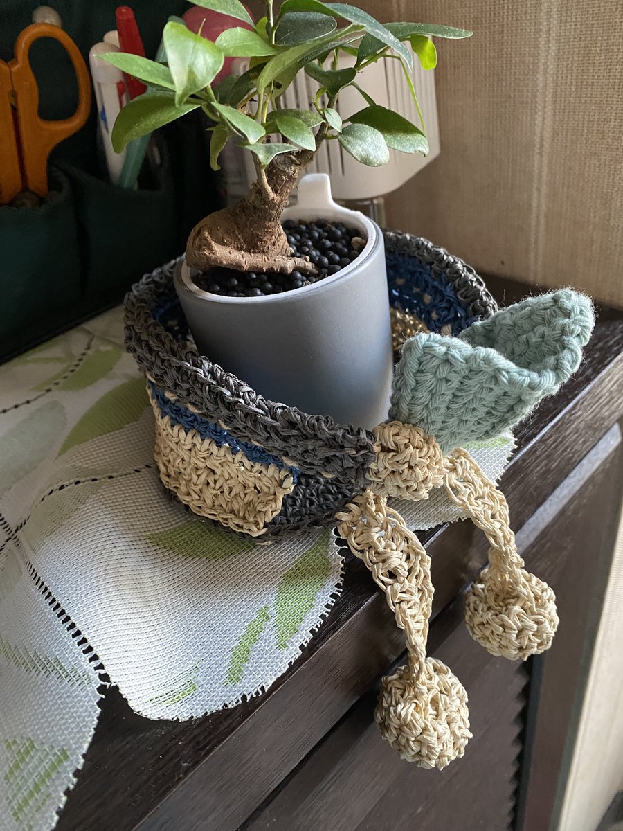boyakitms's tweet photo. これは義実家に産み落とした、
読書家ガジュマル君🌳
置いてきた。年末になくなってたら悲しい笑 https://t.co/iihEDGJ85H