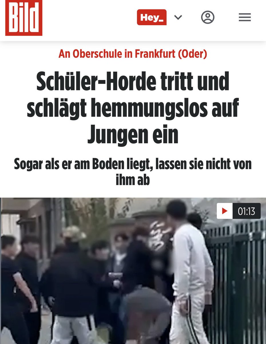 GeraldGrosz's tweet photo. Schulen als Schlachtfelder. Ein Junge am Boden, Tritte ins Gesicht – und die Zuschauer johlen.
Das ist euer Alltag. Importiert, geduldet, verharmlost.
Deutsche, Polen, Russen, Syrer – 13 bis 15. Eine Bagage, die hier nichts verloren hat.
Keine Jugendstrafen, keine Integrationslügen, kein „man muss die Ursachen verstehen“.
Abschieben. Sofort. Ohne Wenn und Aber. Remigration ist die einzige Antwort.
Wer Gewalt importiert und dann jammert, ist mitschuldig. Ab nach Hause.

Es kann nur eine Antwort geben: AB NACH HAUSE! 
Mehr in „ AB NACH HAUSE“. Das neue Buch von Gerald Grosz JETZT HIER: 
Amazon 🌍: https://t.co/htys55M9G3