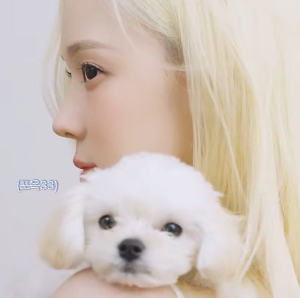 onewinter_'s tweet photo. 와 존예 강아지 뭥미 https://t.co/xR4hHQcSb5