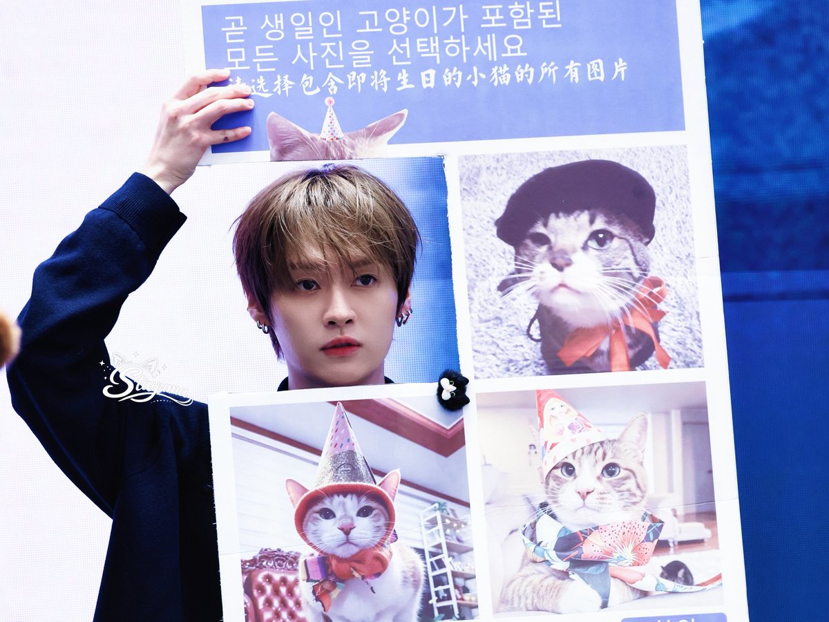 MlNHORIZON's tweet photo. "please select all images that contain a cat whose birthday is coming soon"  🫳😺 https://t.co/xUNzMc2xEG