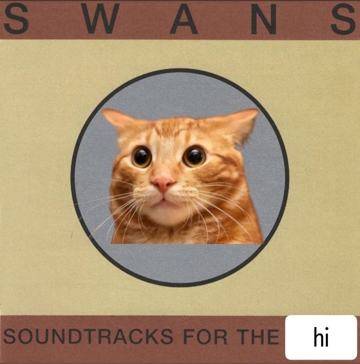 wishweweredead_'s tweet photo. soundtracks for the hi https://t.co/PJ36qWBOcA