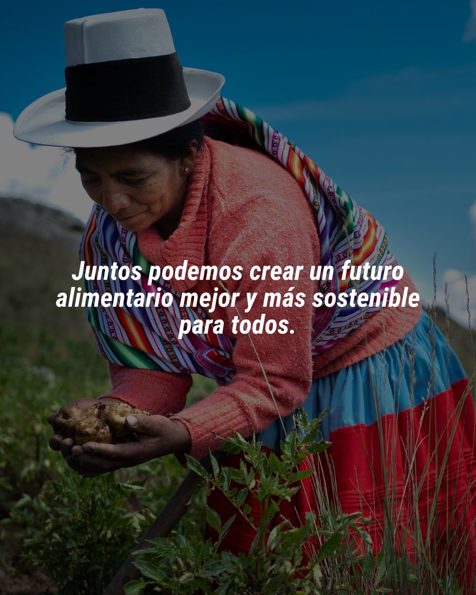 ONUPeru's tweet photo. #DíaMundialdelaAlimentación
Recordamos la importancia de garantizar que todas las personas tengan acceso a alimentos suficientes, variados, seguros y nutritivos.

🔗 Descubre cómo puedes ser parte del cambio aquí: 
https://t.co/QEThC1ahyc https://t.co/7zjUa2Csd0