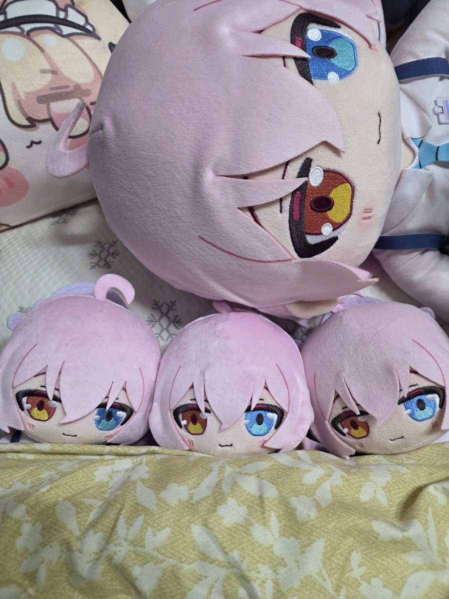 tmakdlf7890's tweet photo. 으헤~다들 좋은꿈 꾸시고 잘자요!(-ω-)💤

#ブルアカぬいぬい部 #블루아카누이누이부 https://t.co/yJxRecVsqH