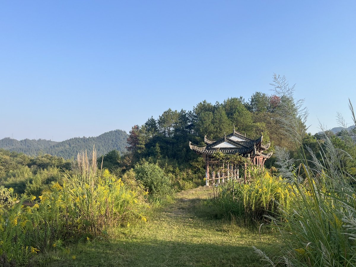 ChenSheng417's tweet photo. https://t.co/mbHNC0gF0H