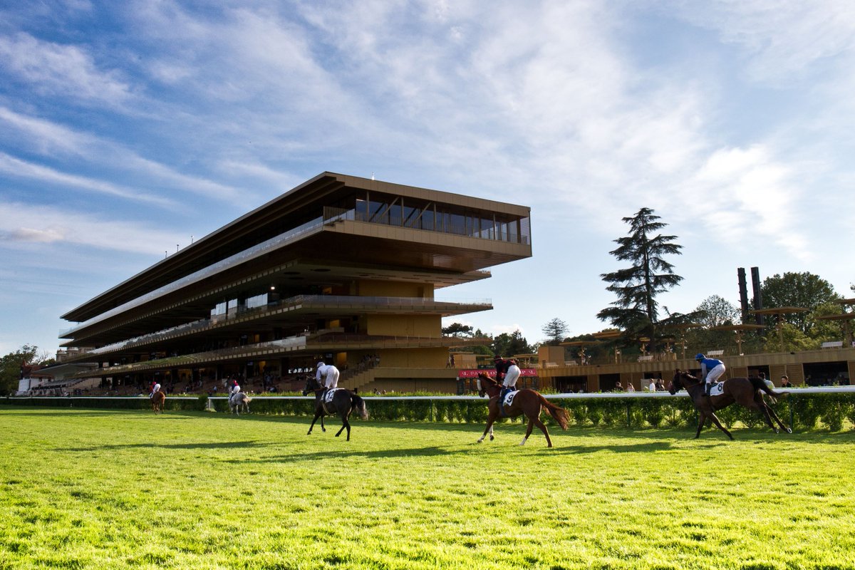 francegalop's tweet photo. 📅 Dimanche à #ParisLongchamp, une dernière journée de grand sport avant la trêve ! 🏆

Le Prix du Conseil de Paris (Gr2) en tête d’affiche, deux Listeds et les premiers pas de futurs champions de 2 ans pour clôturer l’année en beauté !

Rendez-vous dimanche !
➕d’infos : https://t.co/kg80lfalmn