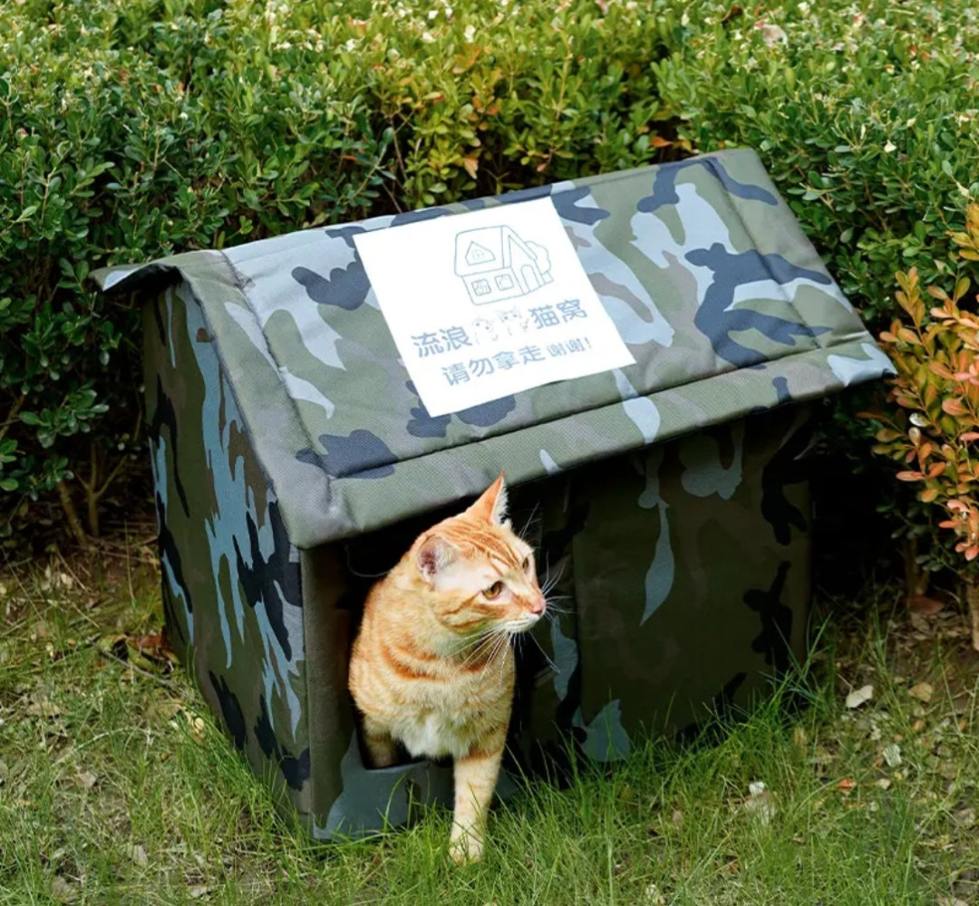 Sandroo1169's tweet photo. Win this big prize! It’s fully used for daily upkeep of the community shelter. https://t.co/HhRrPUg3Mf
