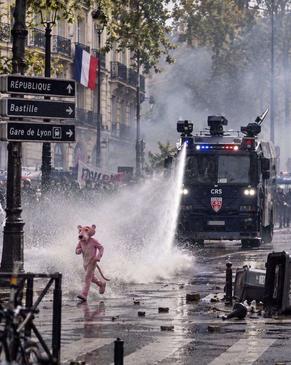 StefSimanowitz's tweet photo. “Liberté, égalité, pinkpantheré!”

#France #StudentProtests #FranceProtests #LycéensEnLutte #EducationCrisis #ParisProtests 
(Photo credits to follow) https://t.co/FsU44Nh400