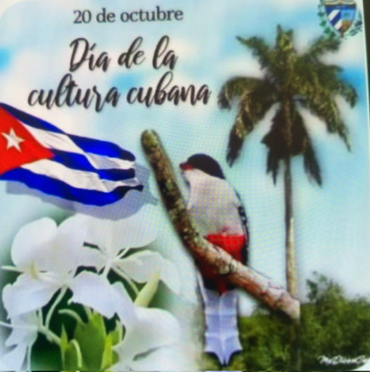 ElisaidyW19592's tweet photo. Jornada de la Cultura Cubana 
#CubaEsCultura
#PorCamgüeyTodo
#AmaliaSimoni 
#Camagüey https://t.co/S8PCzDjDVL