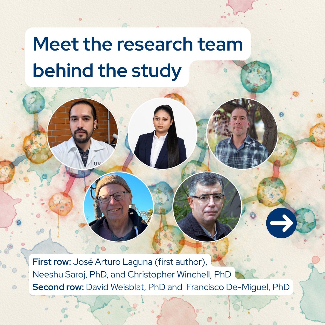 IBROjournals's tweet photo. 🧠 In our latest Author Interview, Prof. Francisco De-Miguel discusses his new research published in #Neuroscience, which identifies CAPS as a key protein involved in serotonin release from neuronal cell bodies.

🔗 Discover more about the study: https://t.co/pqYTGrG2SZ
@IFC_UNAM https://t.co/e5oG1gkz0Q