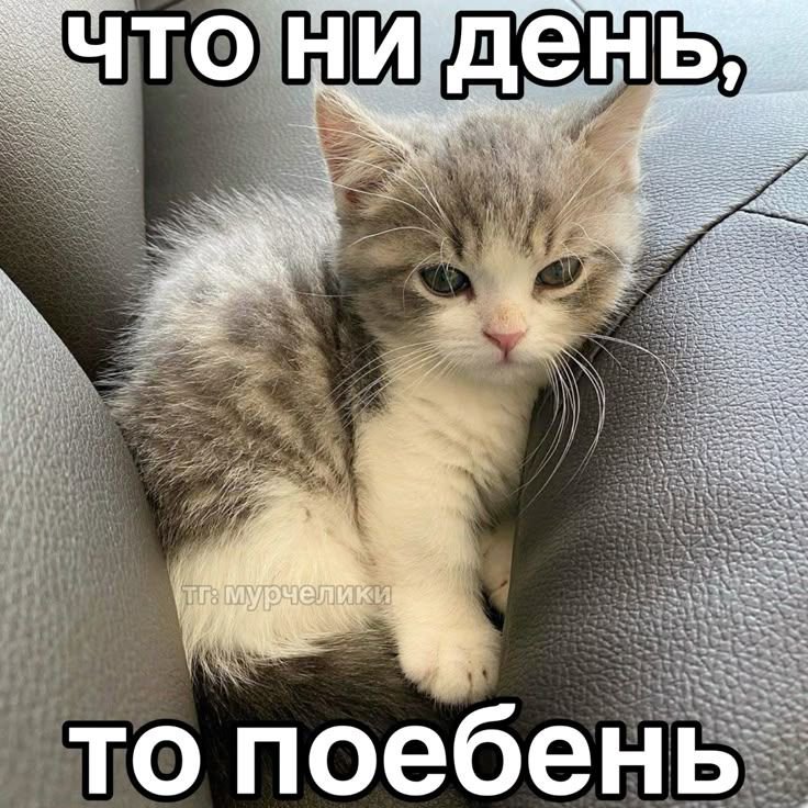 Kasperpidor's tweet photo. Ебучая погода и моя метеозависимость https://t.co/iLWO0VOT8z