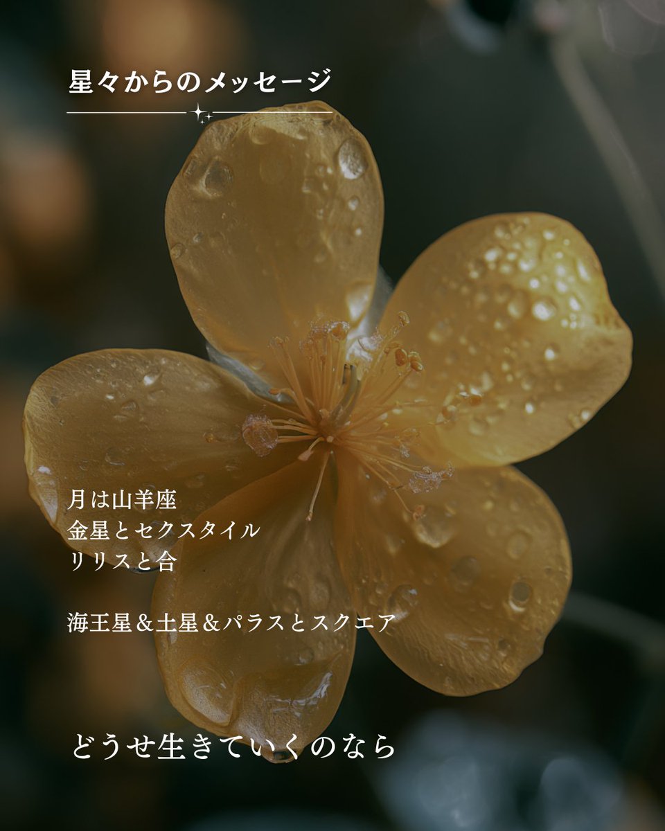anna0_x's tweet photo. 《10/17：星々からのメッセージ》

牡羊座：肩から力を抜いて、誰かの支えになれる感じ
牡牛座：おや、そうなんですね？って感じの日。淡い発見。
双子座：予想外の角度から、展開が放り込まれる感じ
蟹　座：勝手に展開していく感じ。そっと支えるだけで◎
獅子座：ゆっくりした時間があなたを整えていく
乙女座：何をしても楽しい。そんな置き換えが開運のカギ
天秤座：結果を見ずに進めていけば、花咲くその日が近づくよ
蠍　座：ワクワクを元に身近なところから始めていこう〜
射手座：やることやって深呼吸。追い詰めず、興に乗れィ
山羊座：流れに身を任せればよろし。
水瓶座：胸を張って、他者からどう見えるかは無視しよう
魚　座：知らないことと出会ったら、まずは挨拶。世界が広がっていくよ