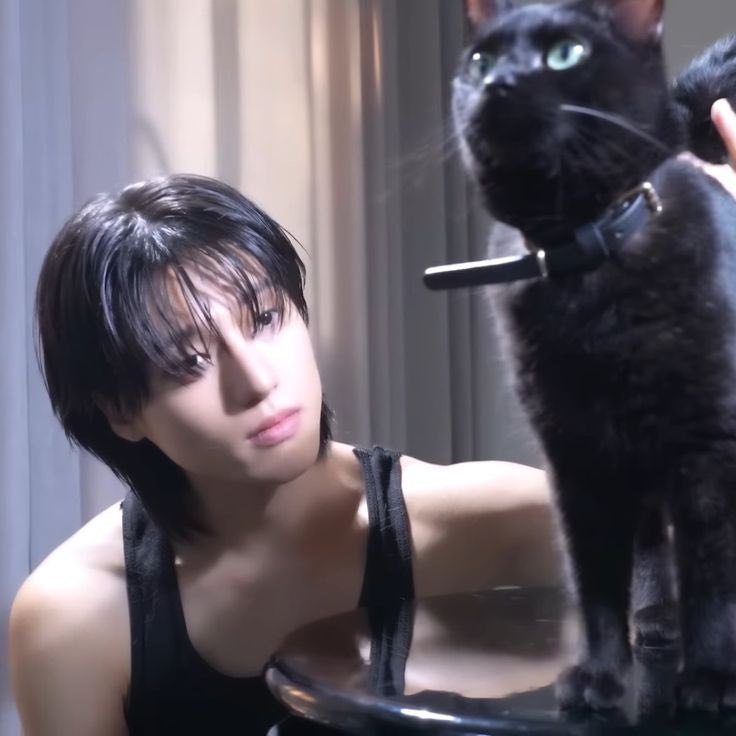 Just_wy_'s tweet photo. 🐈‍⬛ https://t.co/z53ja0VF5Y