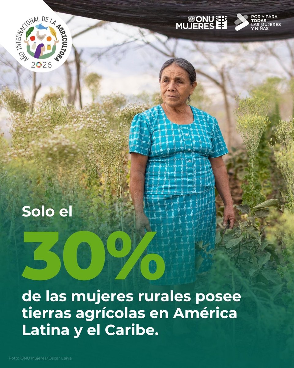 ONUMujeres's tweet photo. La tierra representa autonomía, seguridad económica, identidad y capacidad de decisión sobre los territorios.

Garantizar estos derechos exige eliminar las barreras discriminatorias y fortalecer las políticas de redistribución y acceso equitativo a los recursos.​ #MujeresRurales https://t.co/Ily3dkdgbB