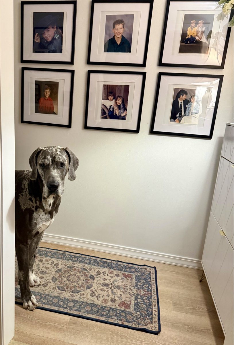SewellSewell14's tweet photo. Look who is spying on you https://t.co/xnXduYpvDf