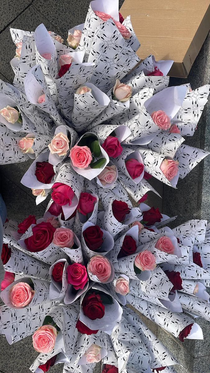 hsdaily's tweet photo. Free pairs of roses and a violinist have been spotted in Rosenthaler Platz in Berlin today - 16 October (via sunflower_nr_82) https://t.co/UT70G3TMJV