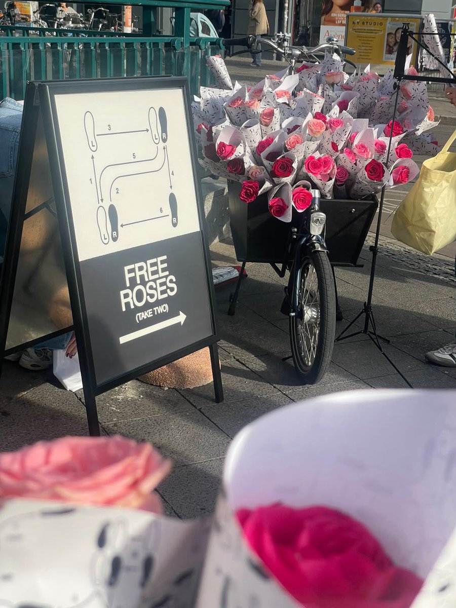 hsdaily's tweet photo. Free pairs of roses and a violinist have been spotted in Rosenthaler Platz in Berlin today - 16 October (via sunflower_nr_82) https://t.co/UT70G3TMJV