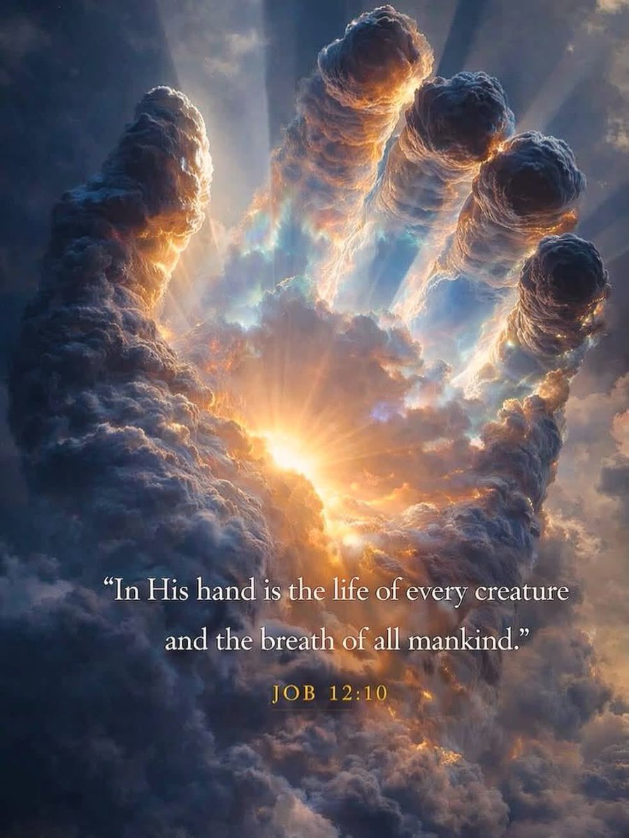 Gracebaakoko's tweet photo. Job 12:10 https://t.co/hgos9soRAy