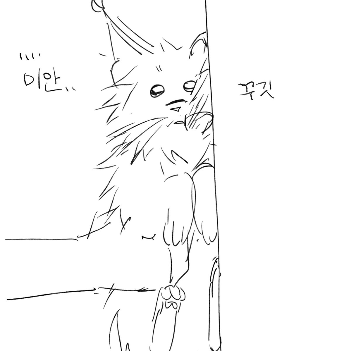 softcookedegg's tweet photo. 바부고양이 https://t.co/vRIyDopfUG