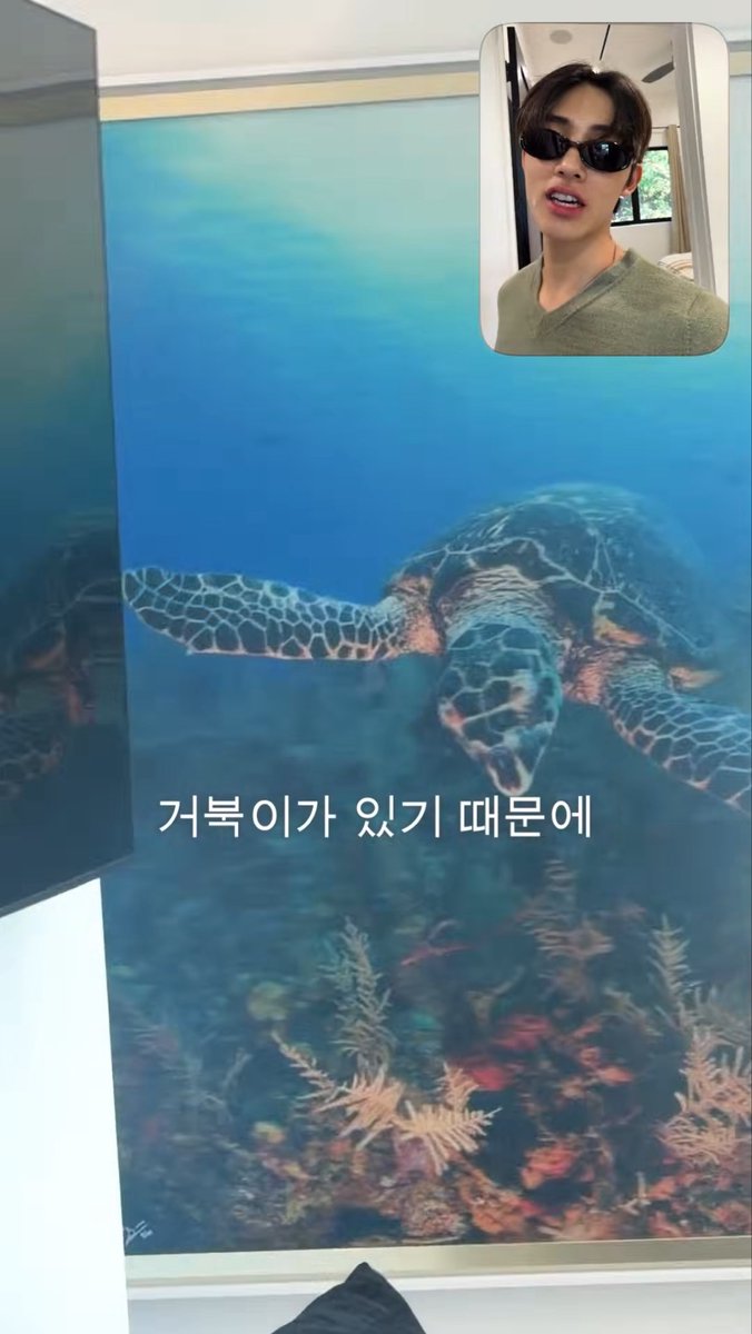 sweetdaikon's tweet photo. 주후니하트거북이하트나 https://t.co/NlfJmWO1yJ