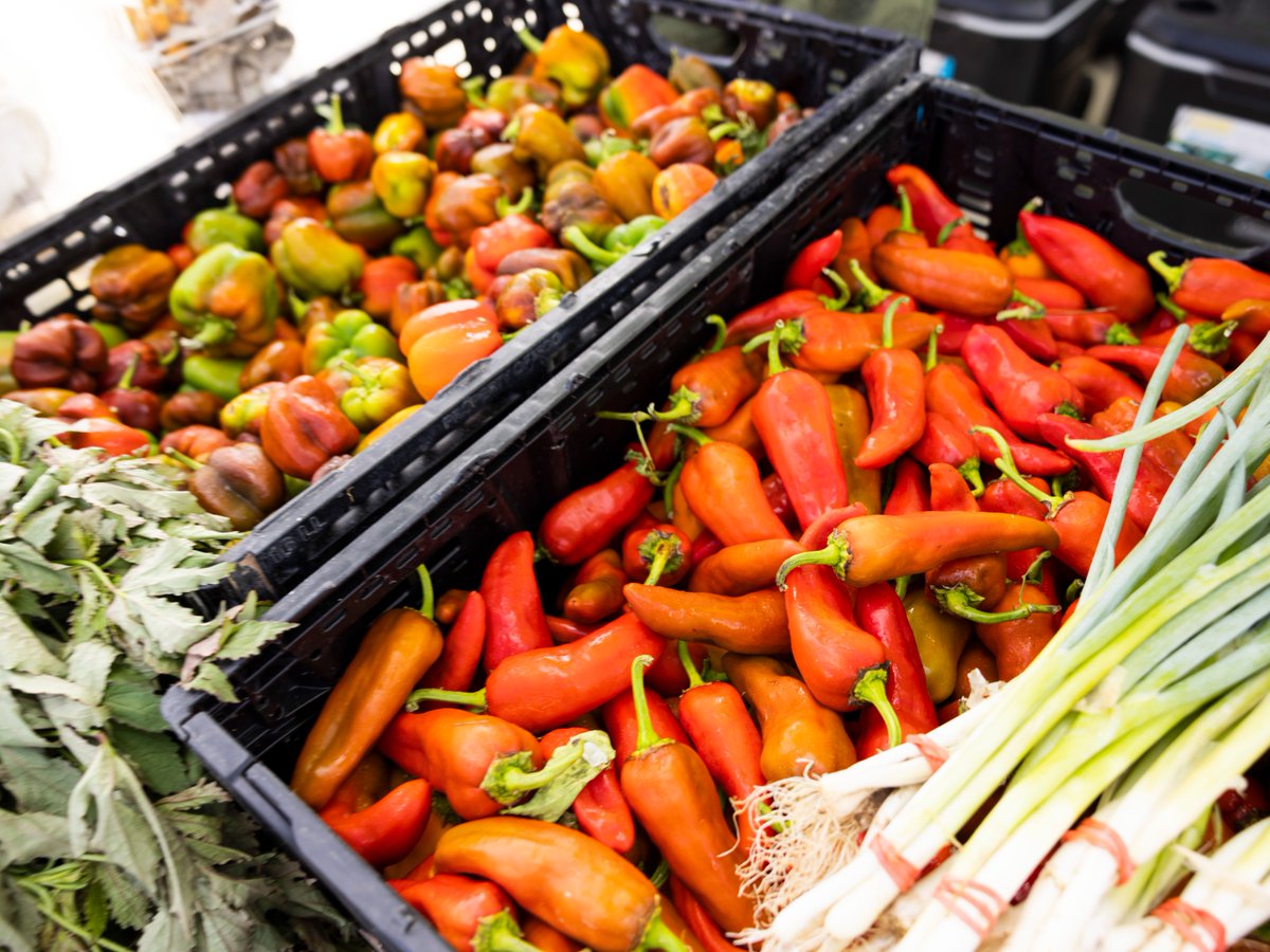 harrishealth's tweet photo. Tomorrow's forecast: fresh fruits, fresh vegetables and fresh air! ☀️🥕 Visit the Farmers Market tomorrow morning to browse fresh produce, discover local products and pick up ingredients for healthy meals all week long. See you there! https://t.co/fRf7J7Qm4j